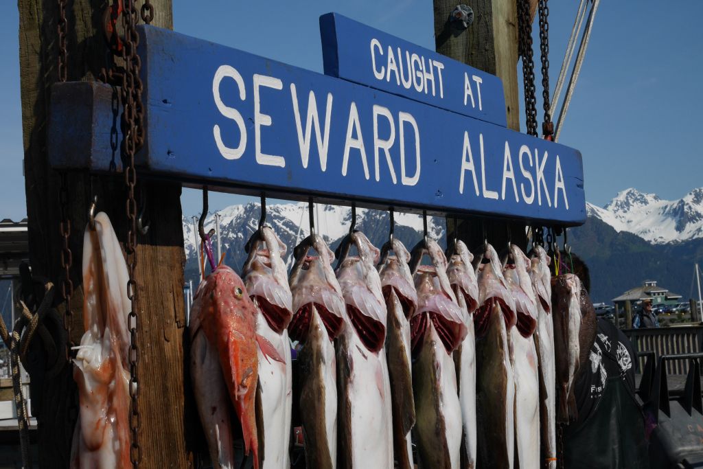 Port de Seward : une étape du roadtrip en Alaska 