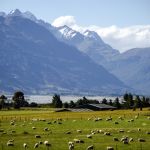 PVT Nouvelle-Zélande : comment obtenir son visa ?