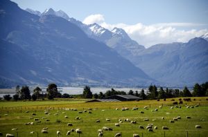 PVT Nouvelle-Zélande : comment obtenir son visa ?