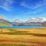 PVT Argentine : comment obtenir son visa ?