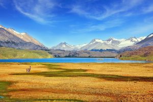 PVT Argentine : comment obtenir son visa ?