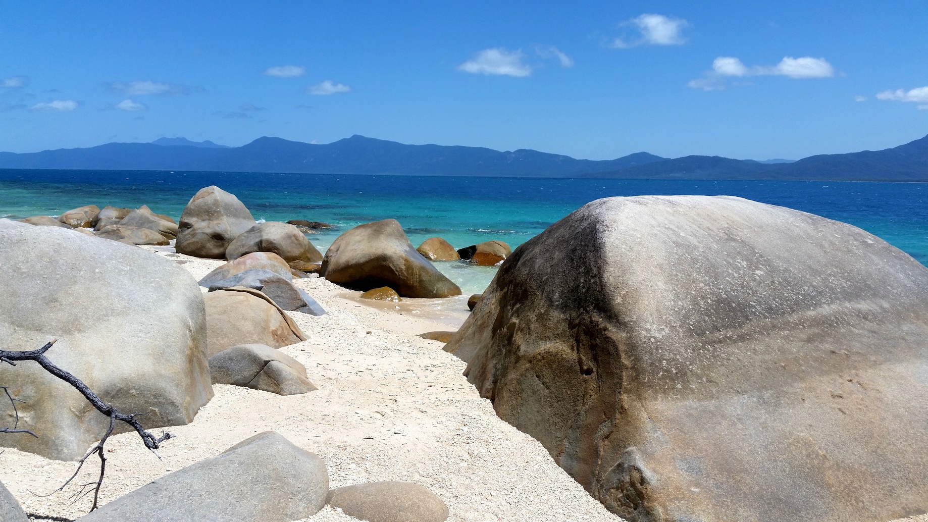 Working Holiday Visa en Australie : 5 bonnes raisons pour partir !