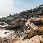 Vivre en Corée du Sud avec un PVT, nos conseils