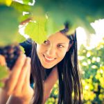 Faut-il faire du fruit picking en Australie ?