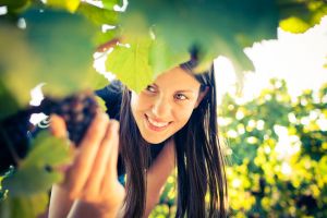 Faut-il faire du fruit picking en Australie ?