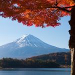 Quel type de job faut-il chercher au Japon ?