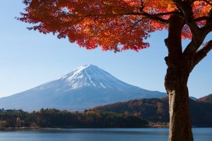 Quel type de job faut-il chercher au Japon ?