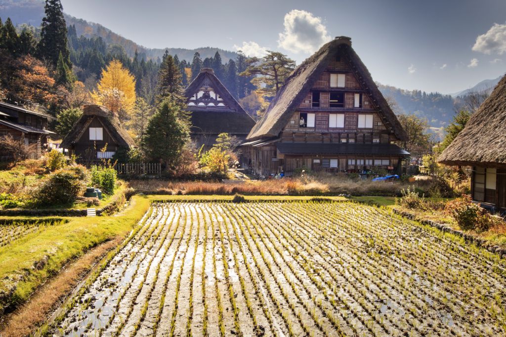 Maisons traditionnelles dans le village de Ogimachi - Shirakawa-go.