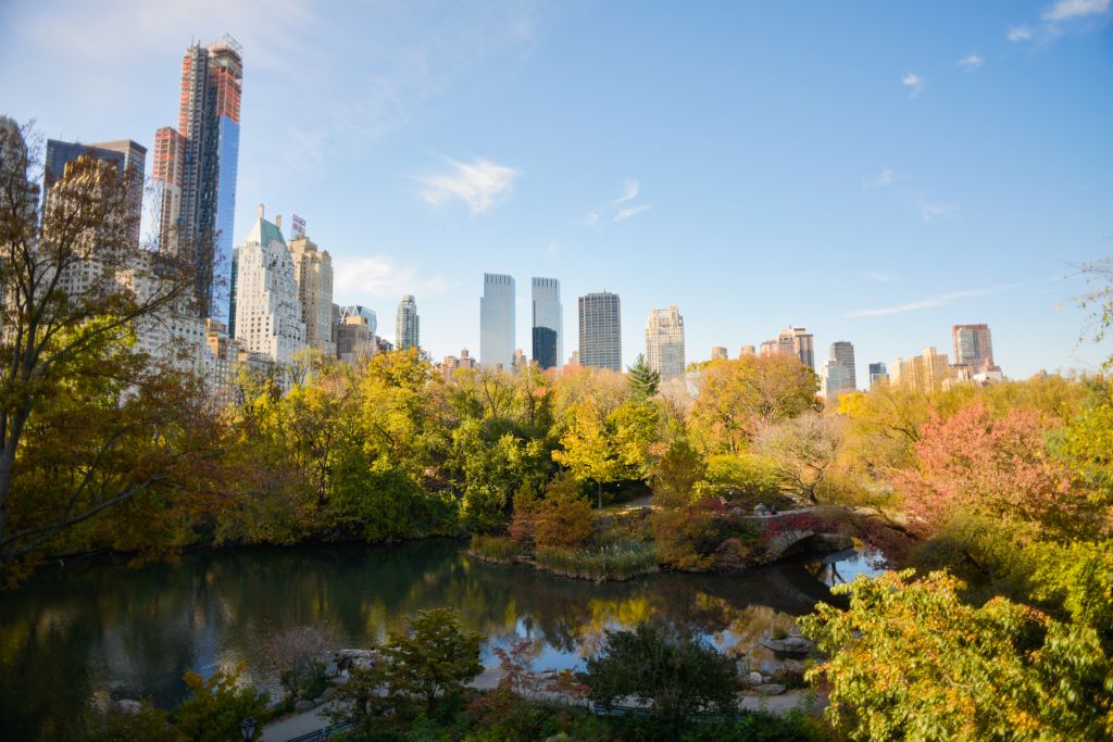 Central park en automne une des meilleure saison pour voyager à New York