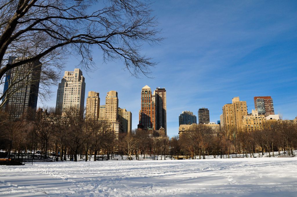 Central park sous la neige une bonne période pour visiter New York
