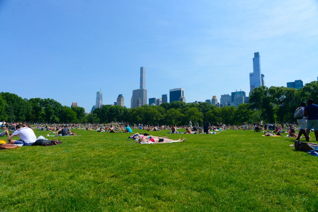 Central park pendant l'été, le lieux idéal pour vous reposer dans pendant votre voyage à New York 