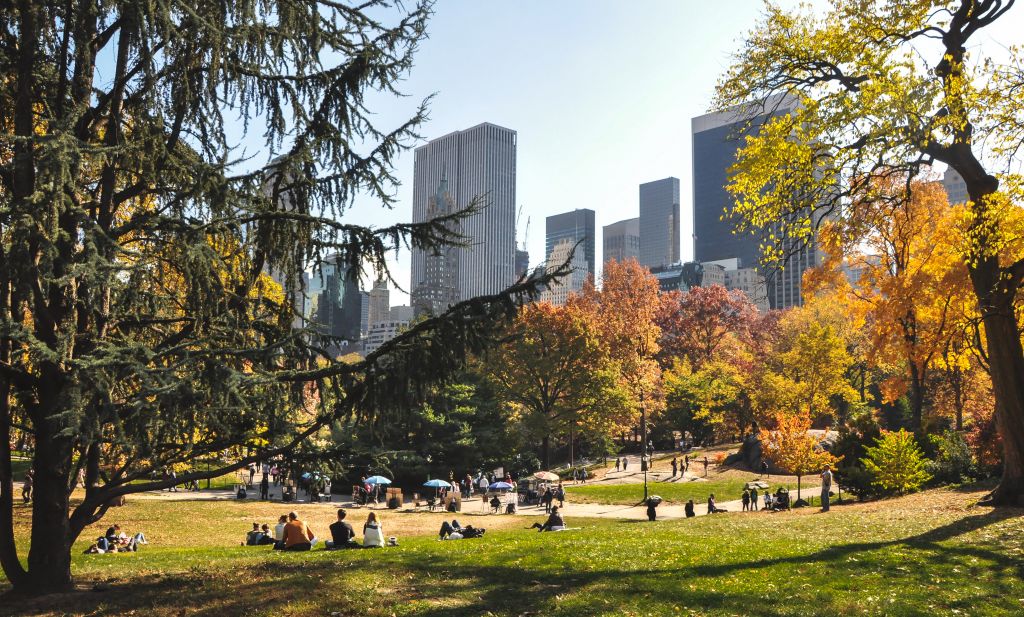 Central park avec une déclinaison de couleurs automnales 