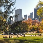 L’automne aux USA