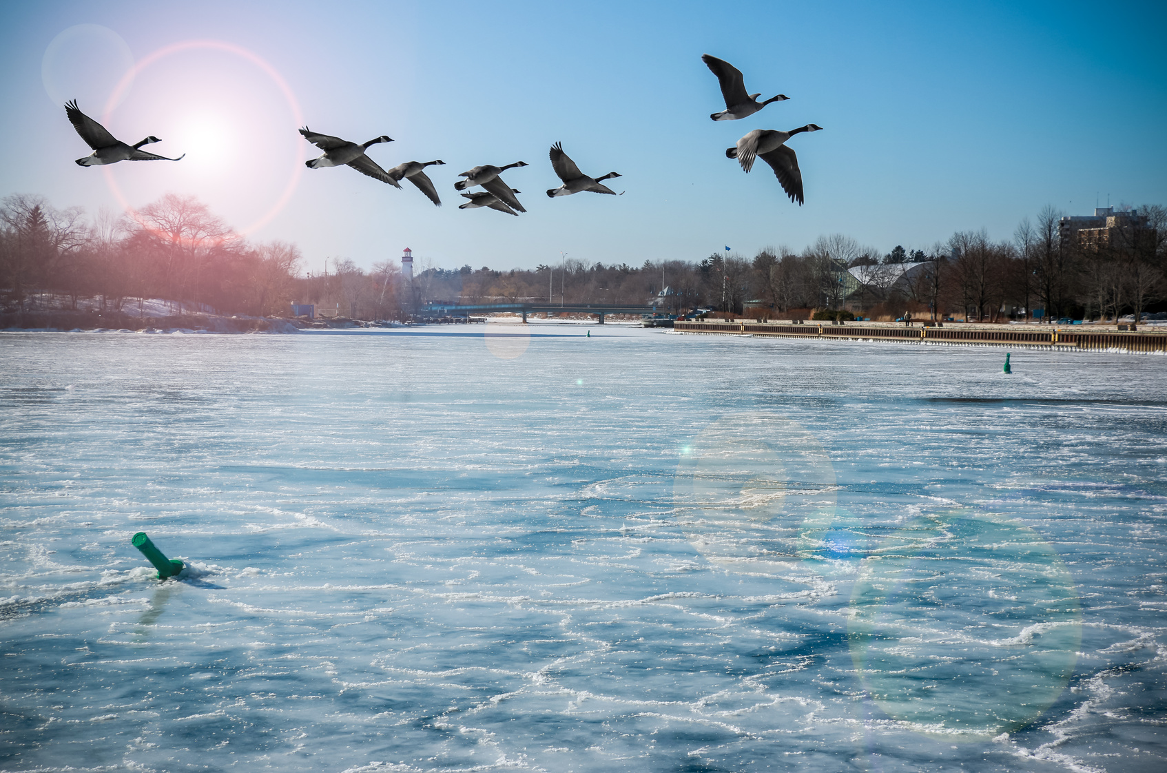 Tradition du nouvel an au Canada se baigner dans un lac gelé