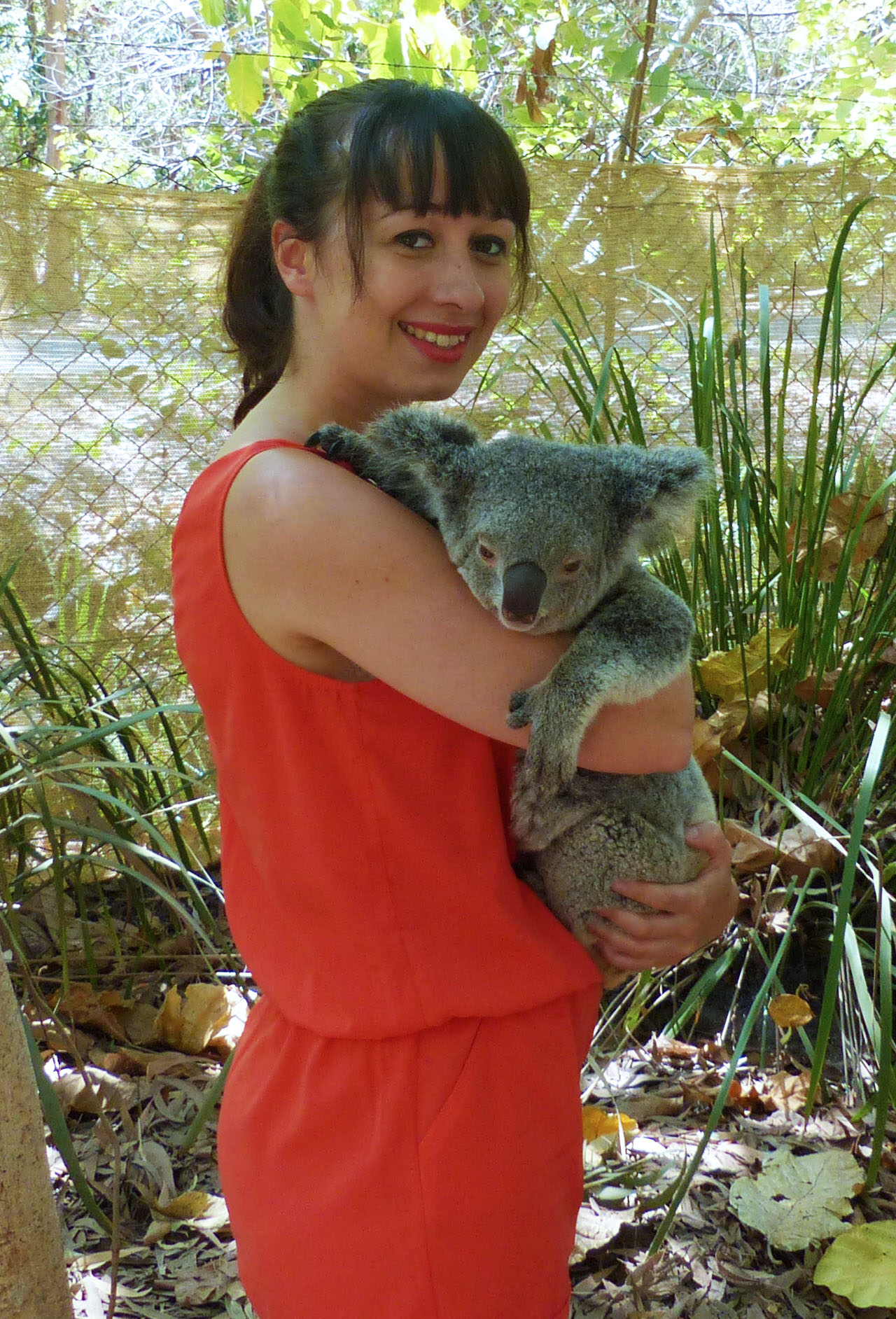Ophélie Koala