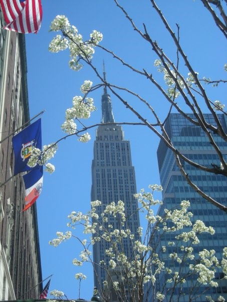 Empire-state-building-New-York