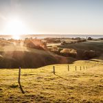 Guide du road trip parfait en Nouvelle-Zélande