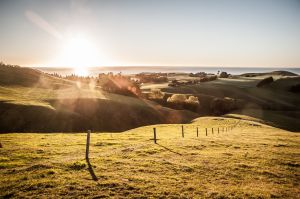 Guide du road trip parfait en Nouvelle-Zélande