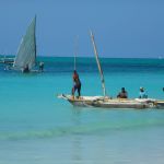 Zoom sur Zanzibar : Un paradis africain