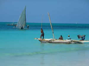 Zoom sur Zanzibar : Un paradis africain