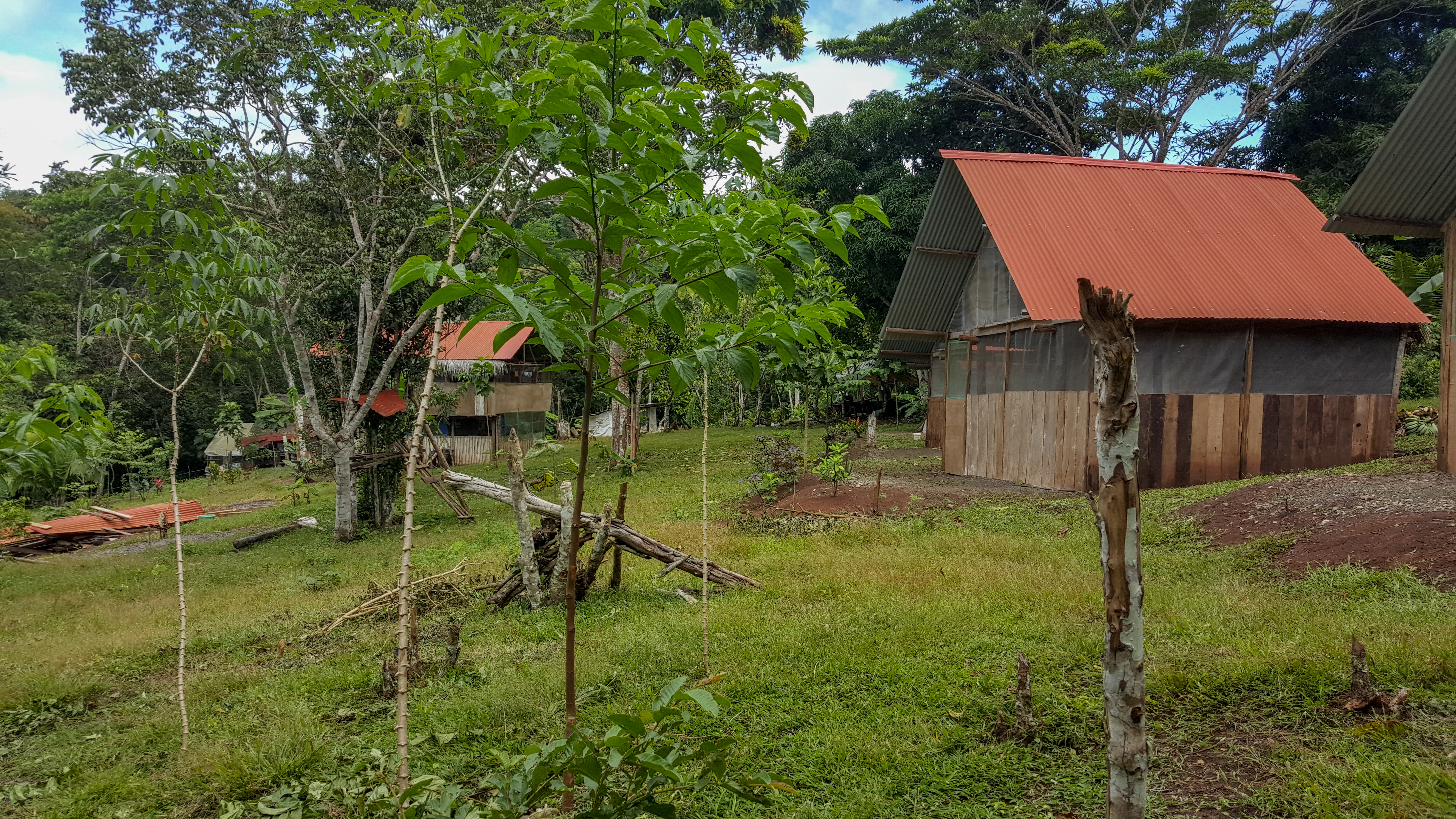 village en amazonie