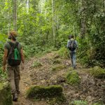 Notre mission dans une ONG pour sauvegarder la forêt amazonienne