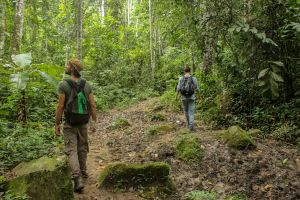 Notre mission dans une ONG pour sauvegarder la forêt amazonienne