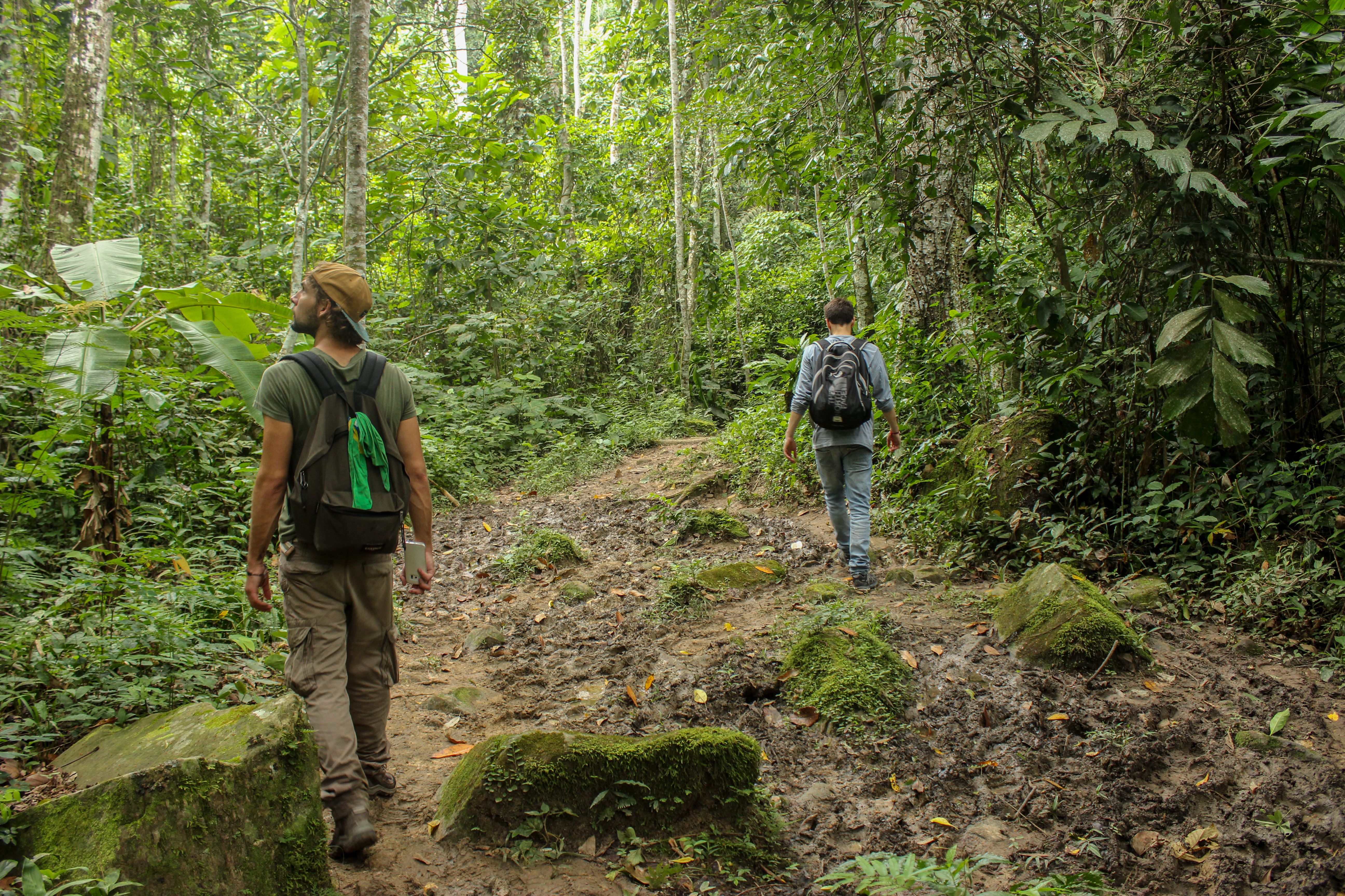 Notre mission dans une ONG pour sauvegarder la forêt amazonienne