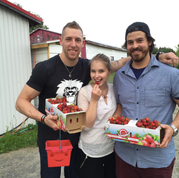 La cueillette des fraises au Quebec