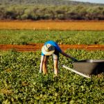 Réduction de la taxe backpacker en Australie pour 2017