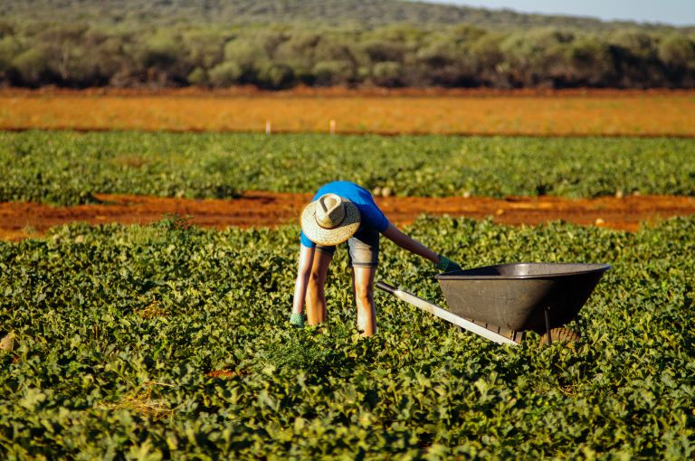 Réduction de la taxe backpacker en Australie pour 2017