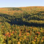 5 bonnes raisons de voyager au Quebec en automne