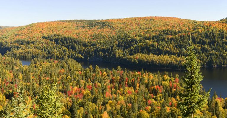 5 bonnes raisons de voyager au Quebec en automne