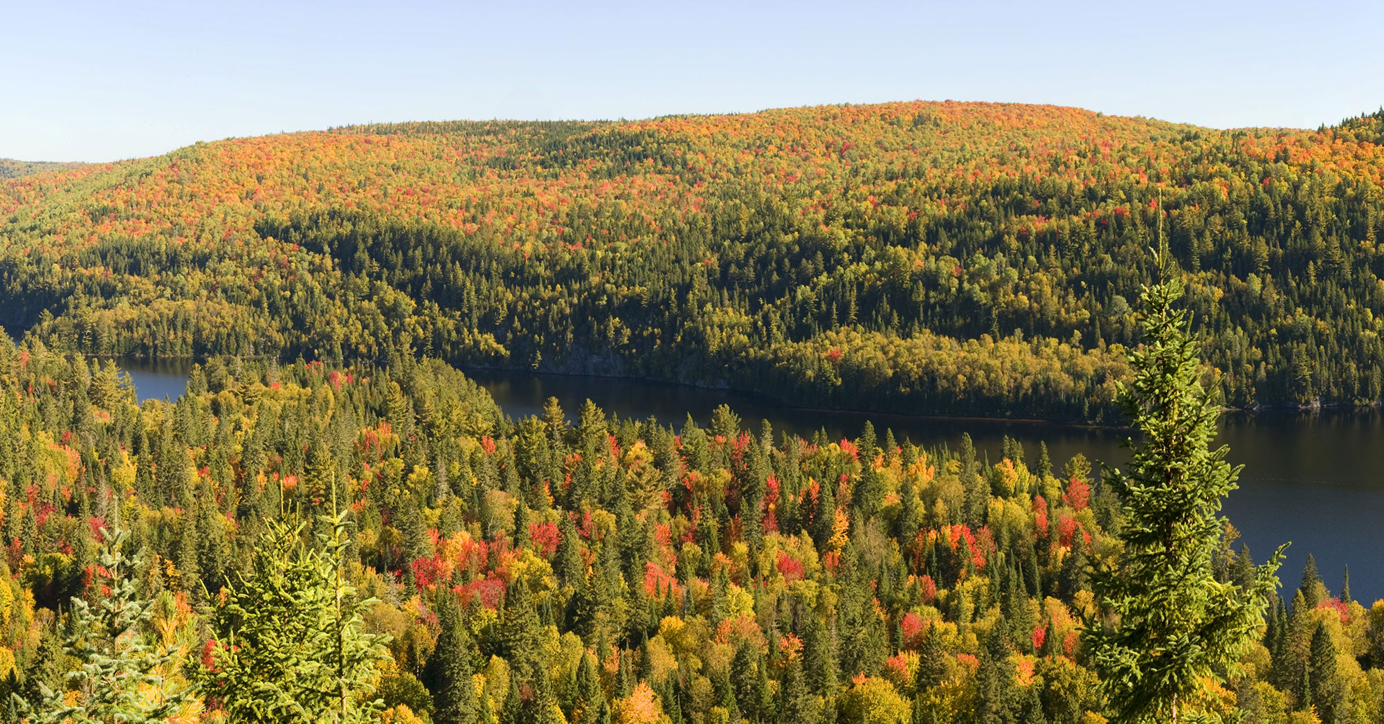5 bonnes raisons de voyager au Quebec en automne