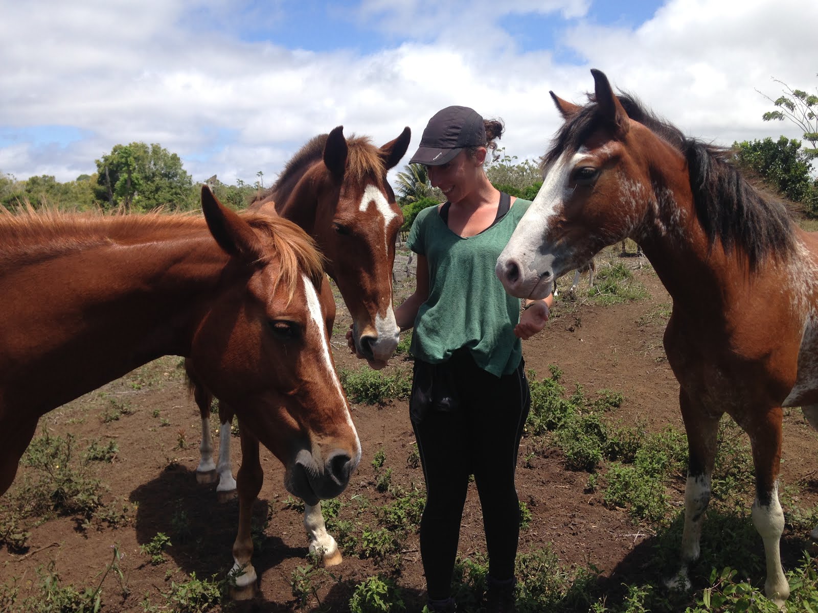 Aurélie avec les chevaux des Galapagos