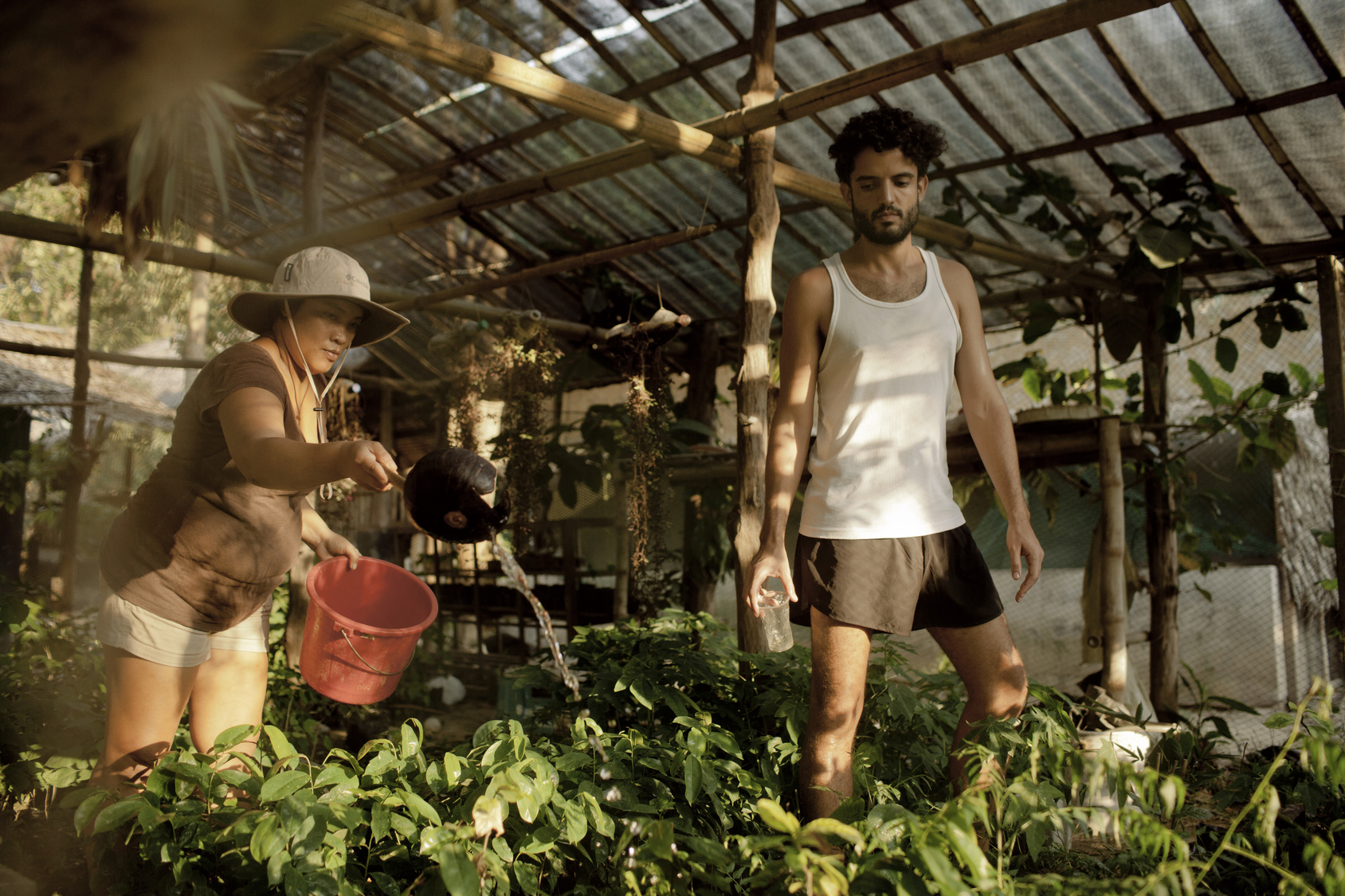La permaculture comme sujet de volontariat international