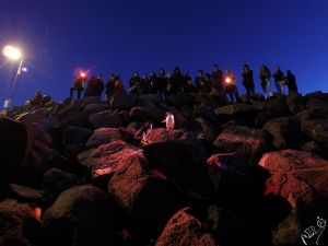 Photos : En auto-stop à travers le désert australien