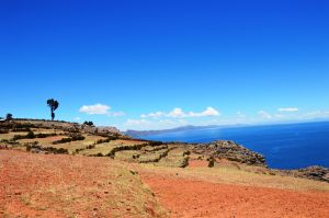 A la découverte du lac Titicaca au Pérou