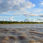 Equateur : Découverte de l’Amazonie depuis Puerto Misahualli