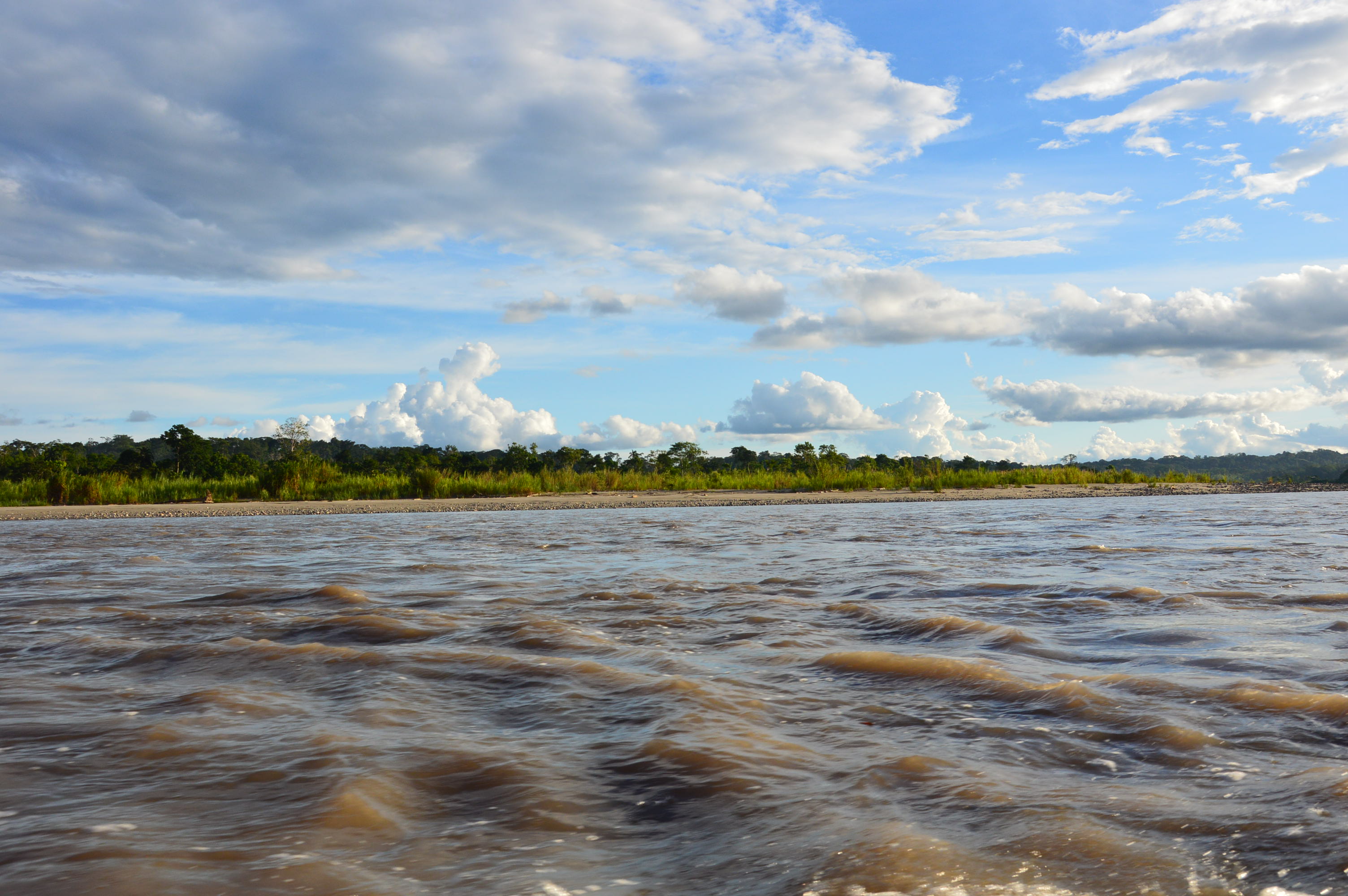 Equateur : Découverte de l’Amazonie depuis Puerto Misahualli