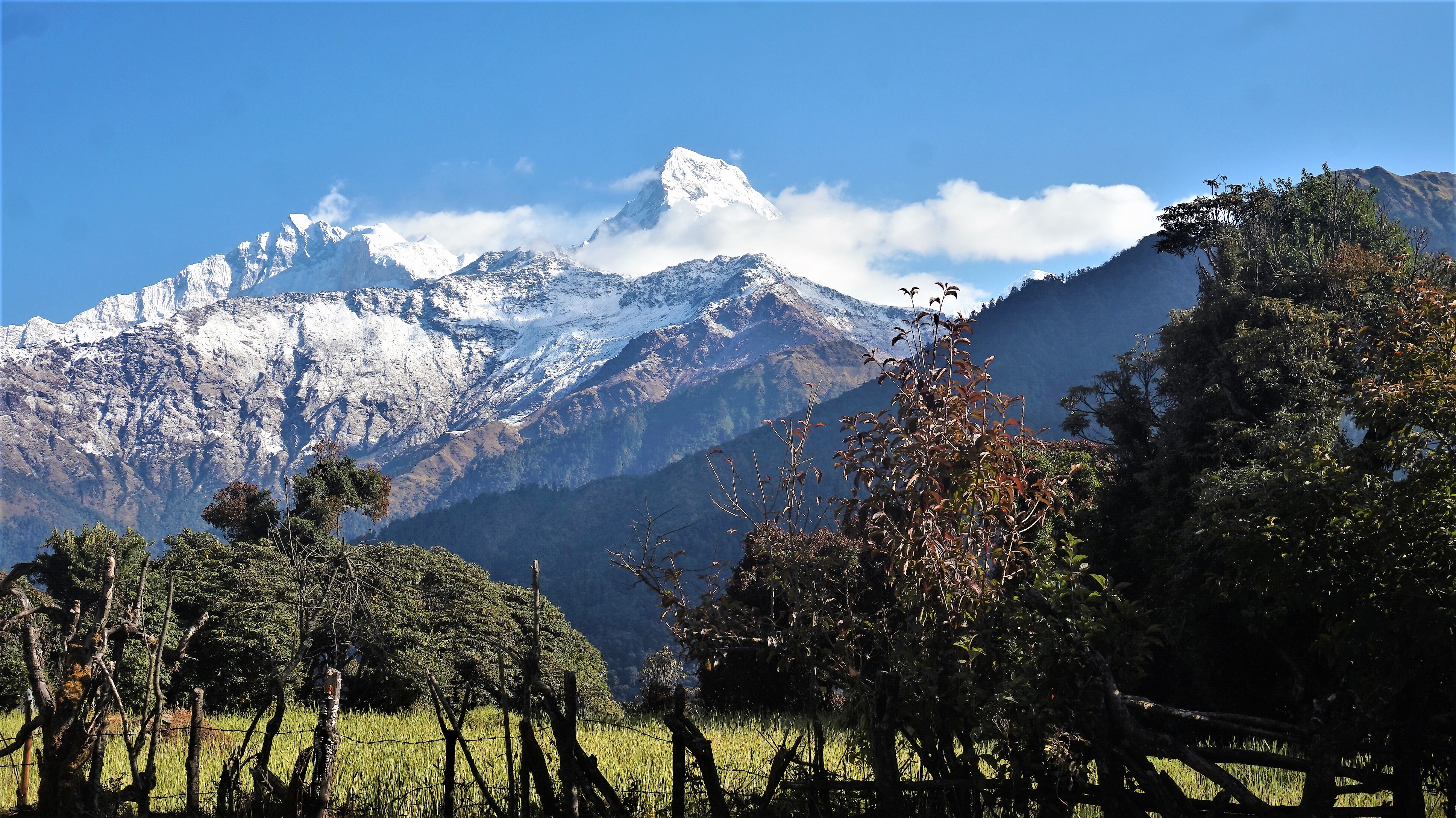 vue sur les montagnes pendant un trek au Népal