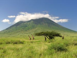 Visa et assurance voyage pour la Tanzanie et Zanzibar : mode d’emploi