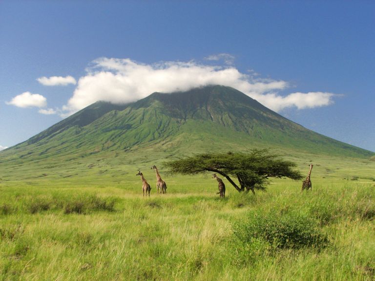 Visa et assurance voyage pour la Tanzanie et Zanzibar : mode d’emploi