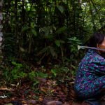 Nouvel Angle, une association qui sensibilise aux dangers de la déforestation amazonienne