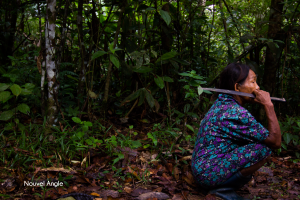 Nouvel Angle, une association qui sensibilise aux dangers de la déforestation amazonienne