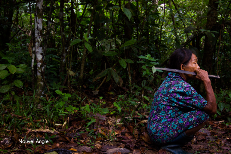 Nouvel Angle, une association qui sensibilise aux dangers de la déforestation amazonienne