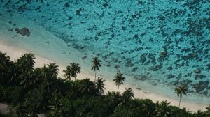 Découvrez les superbes randonnées dans les Samoa