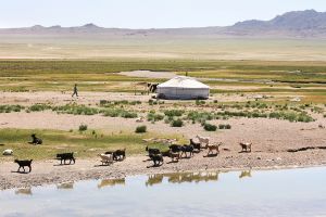 Comment obtenir son visa pour la Mongolie ?