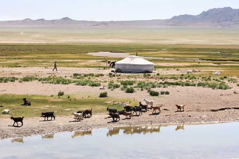 Comment obtenir son visa pour la Mongolie ?