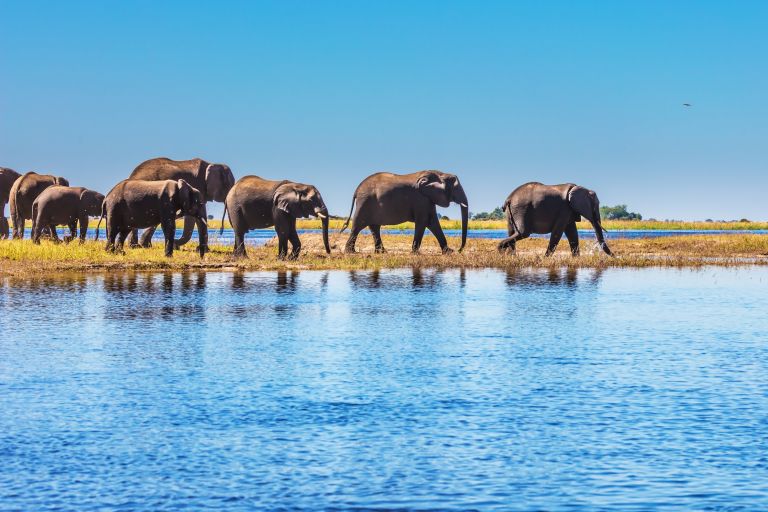 Voyage au Botswana : tous nos conseils